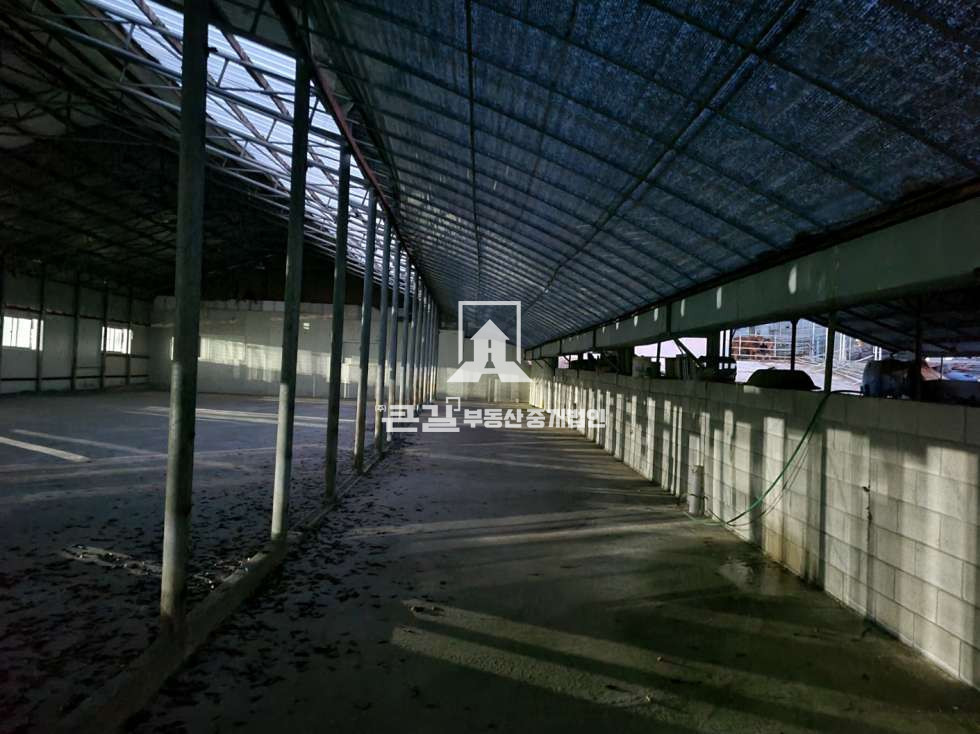 경기 고양일산동구 성석동 동식물관련시설, 190x1 임대 월세 매물번호 12483 사진 8