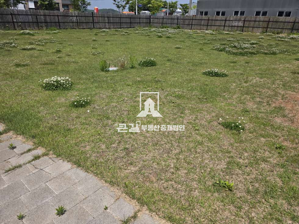 경기 김포시 하성면 석탄리 하성면 잔디마당넓은 애견까페임대 월세 매물번호 12803 사진 37